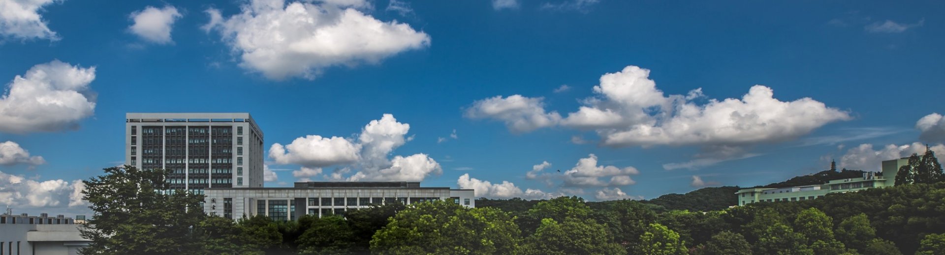 下载溜溜体育(中国)官方网站新一届学